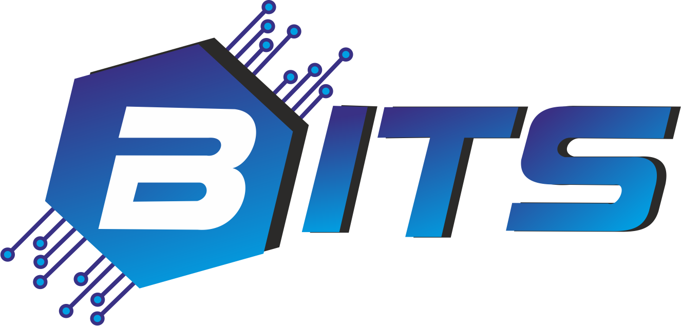 Bengal IT Solution Private Limited